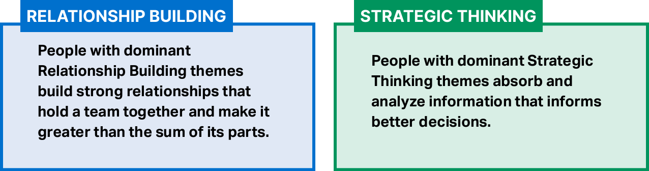 two text boxes with description of what Relationship Building means on the left box and what Strategic Thinking means on the right.